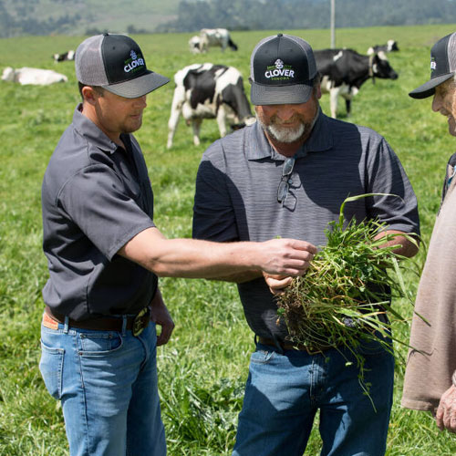 ft-farmers-networking